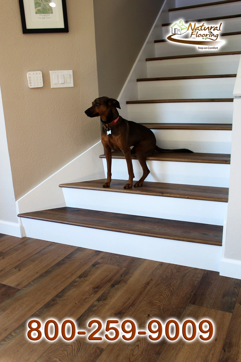 Closed Step White Riser White Skirtboard