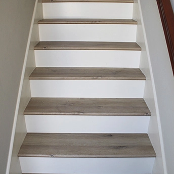 Tresor SPC Stairs Lions 2