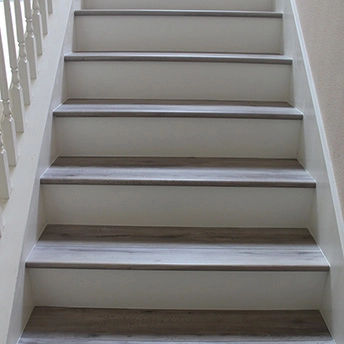 Winter Trail SPC Stairs Lions 1