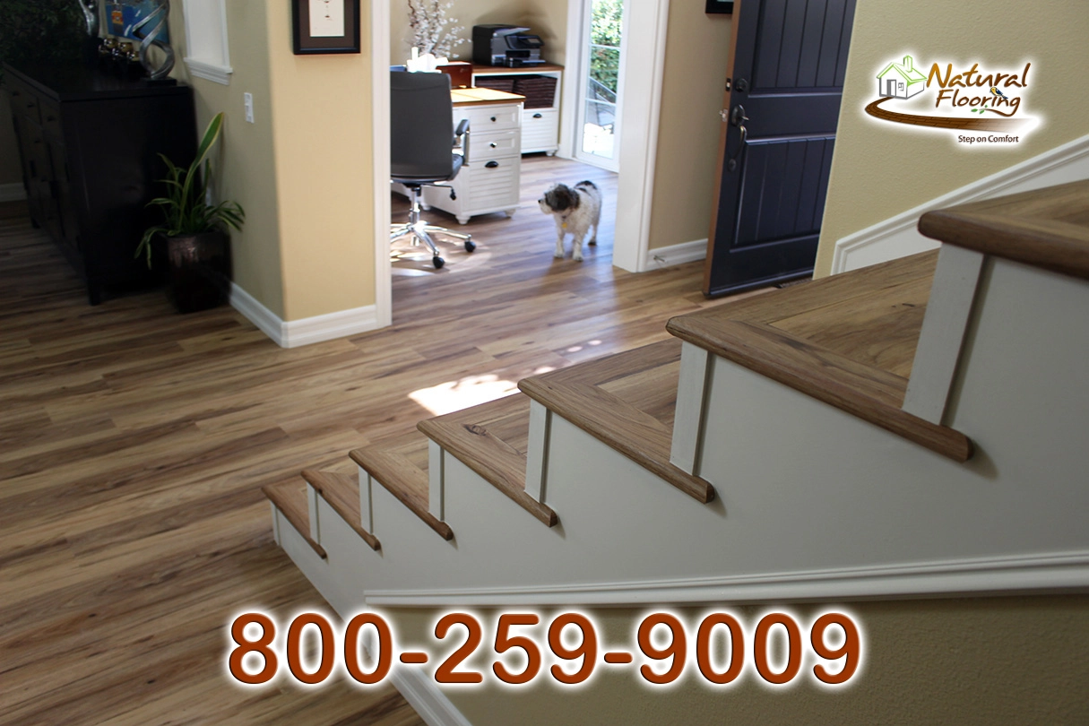 Opened Stairs, White Riser and White Skirtboard