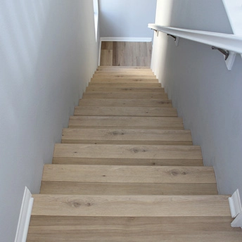 Homewood Waltz SPC Stairs Lions 2 824772