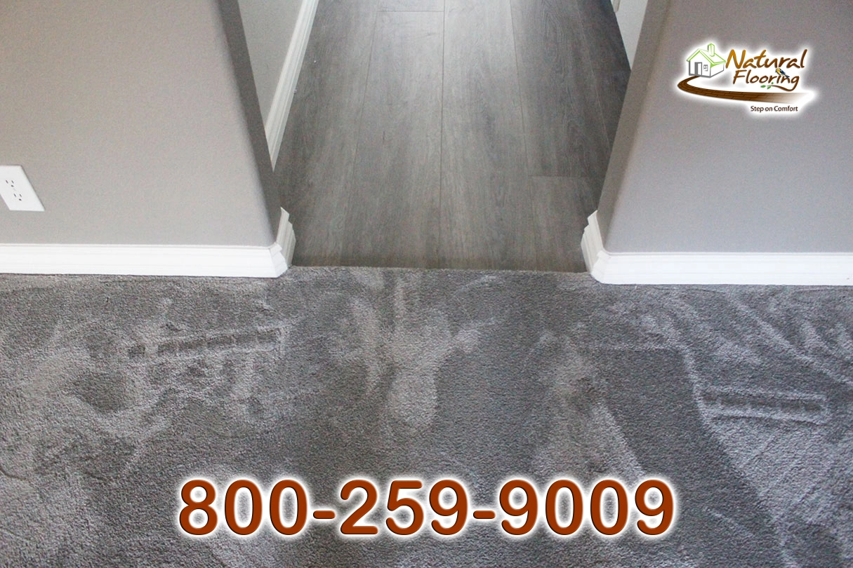 Carpet to Vinyl Transition