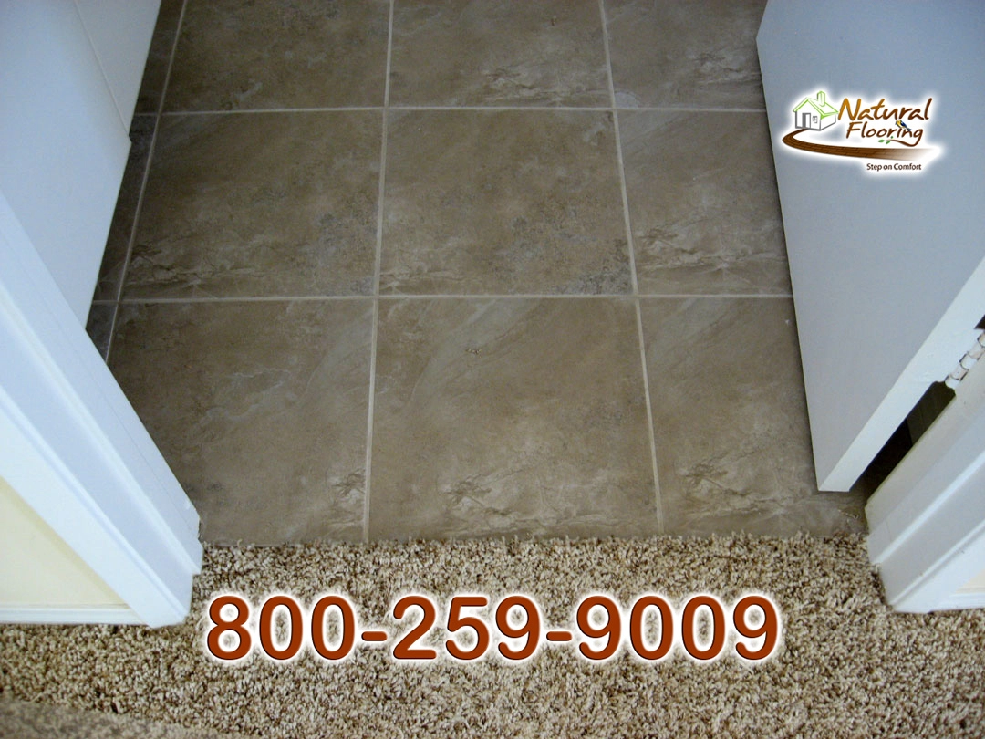 Carpet to Vinyl Transition