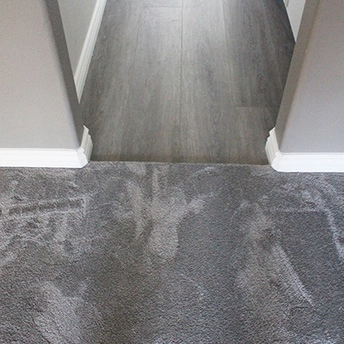 Carpet Vinyl Transition 2