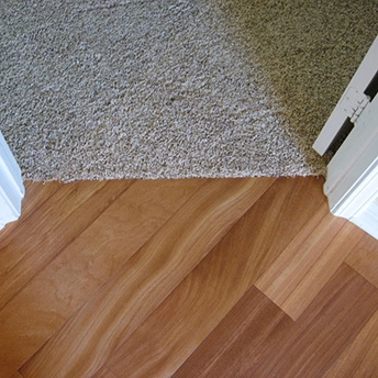 Floor Carpet Transition 3