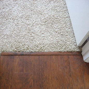 Molding Transition 2