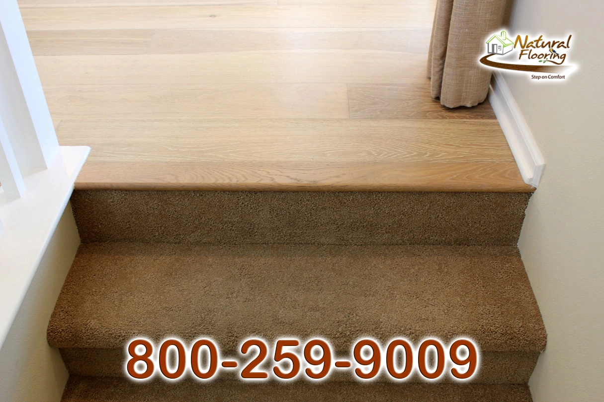 Stairs to Floor Transition