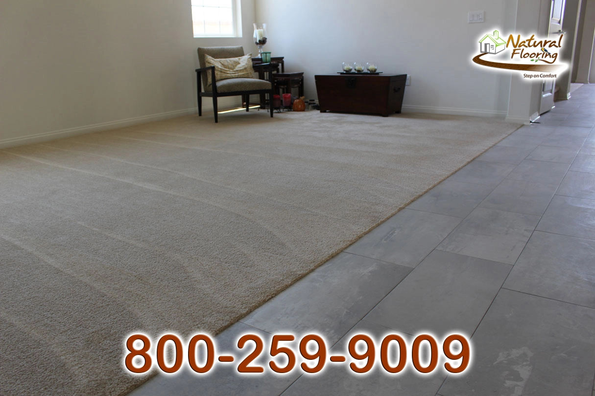 Tile to Carpet Floor Transition