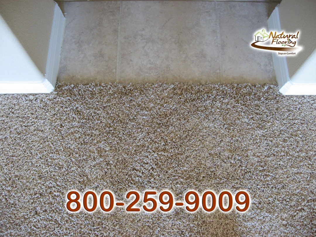 Tile to Carpet Floor Transition