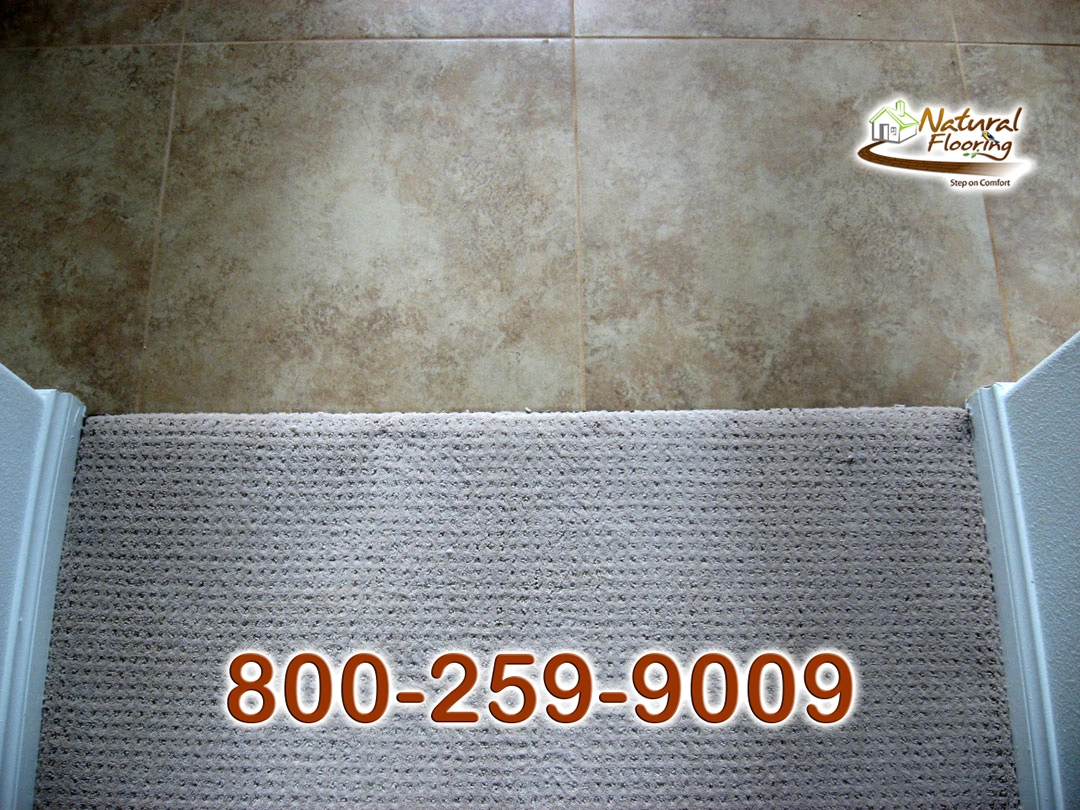 Tile to Carpet Floor Transition
