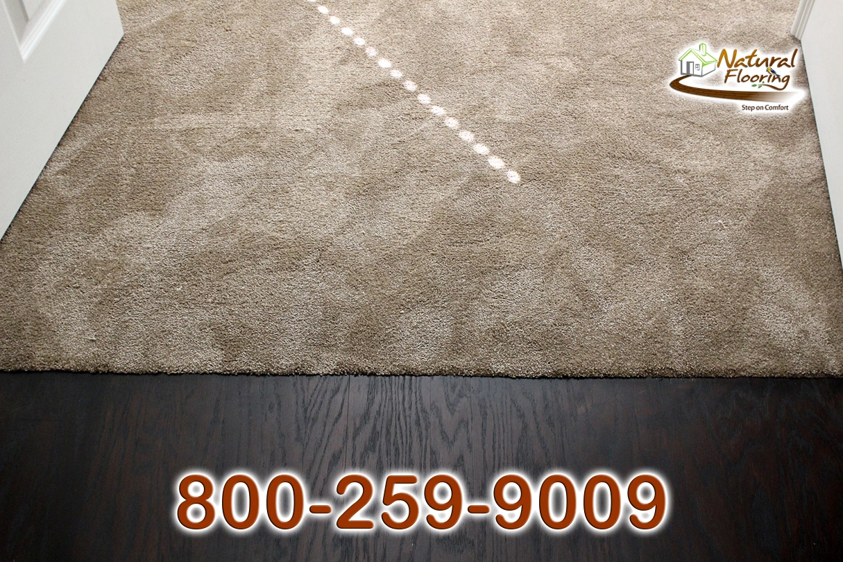 Wood to Carpet Floor Transition