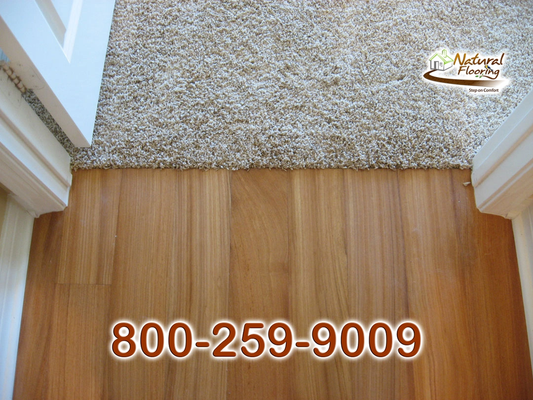 Wood to Carpet Floor Transition