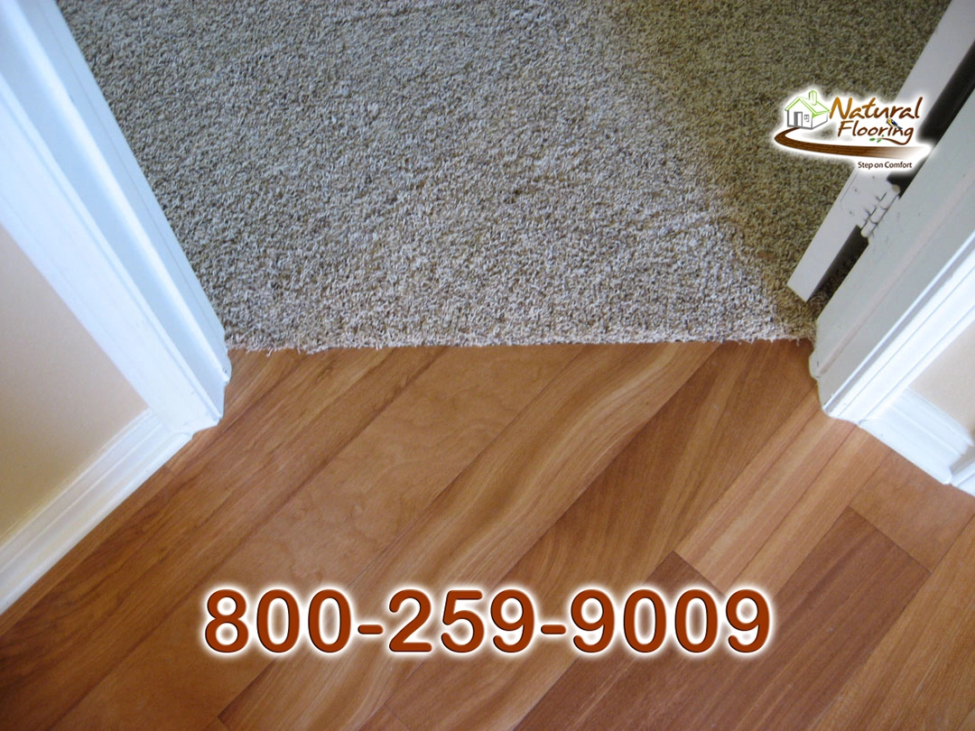 Wood to Carpet Floor Transition