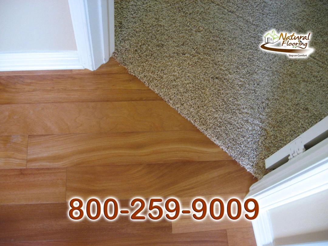Wood to Carpet Floor Transition