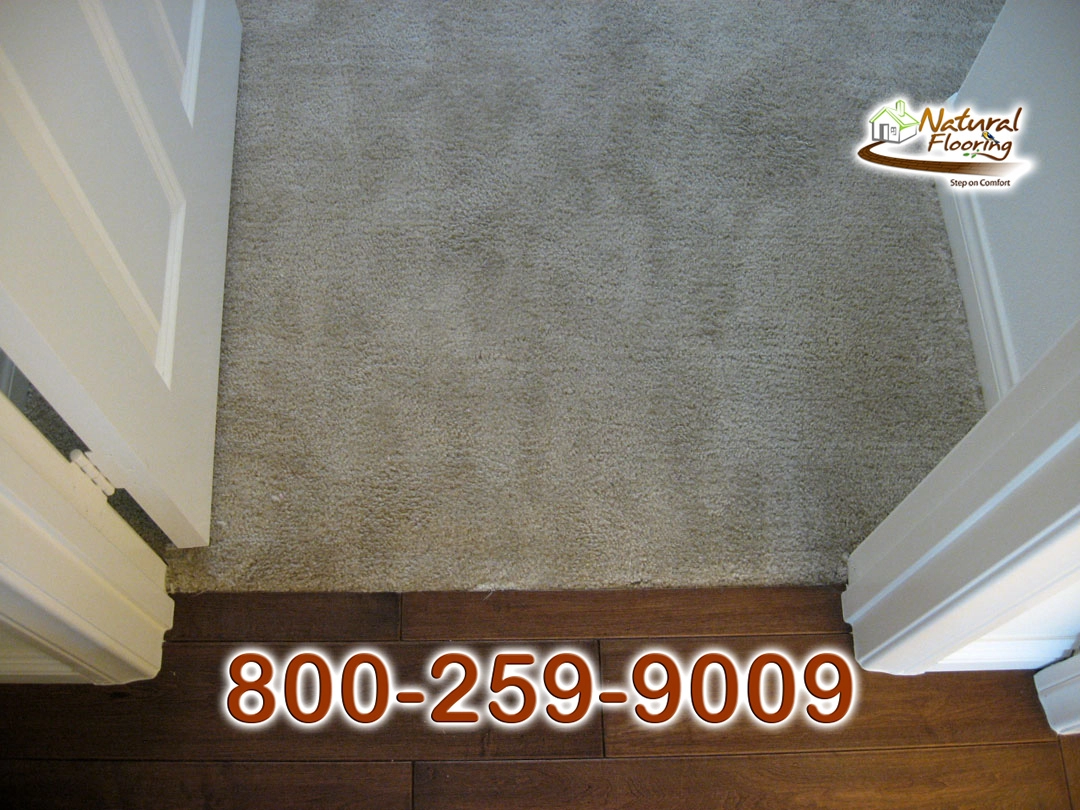 Wood to Carpet Floor Transition