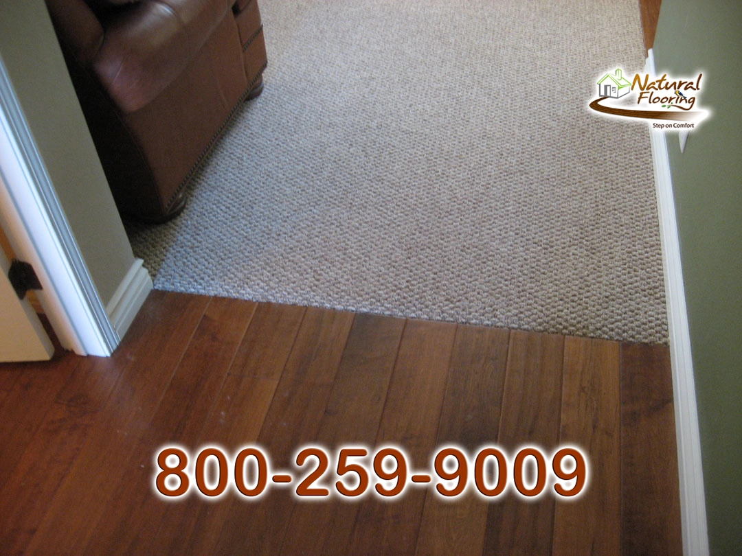 Wood to Carpet Floor Transition