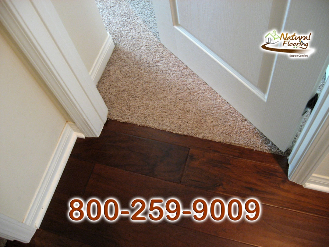 Wood to Carpet Floor Transition