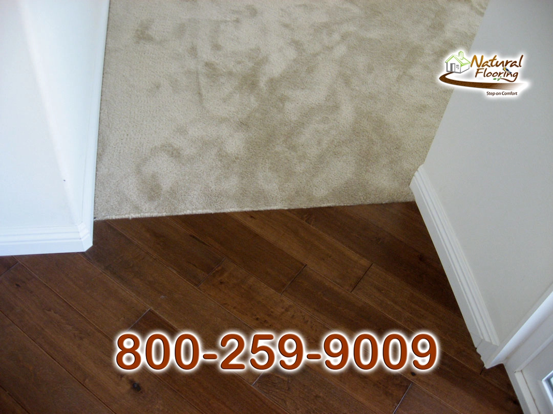 Wood to Carpet Floor Transition